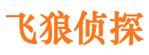 潢川市调查公司